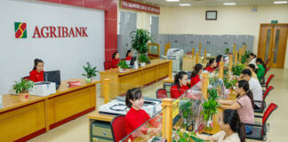 Cách kiểm tra chi nhánh ngân hàng Agribank dễ dàng nhất